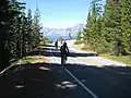 Der Rim Drive am Crater Lake