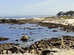 Asilomar State Beach