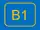 B1