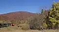 Waldbahn Bieszczady