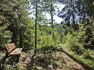 Bank am Ilsestein