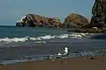 Santa Cruz Beach / Santa Cruz Island