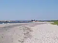 Beach Meadows