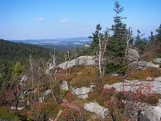 Blick vom Nußhart