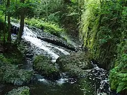Bieberbachschlucht