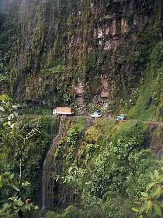 Detail der alten Yungas-Straße