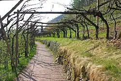 und Obstplantagen,