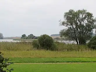 Möweninsel Buhnenwerder