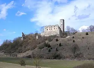 Ruine Niederhaus