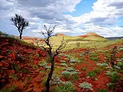 Millstream-Chichester National Park (Australien)