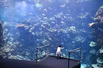Steinhart Aquarium
