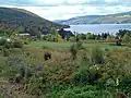 Der Canandaigua Lake / New York