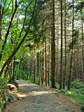 CAI Itinerario turistico