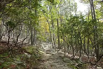 Catoctin Mountain Park
