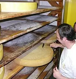 Comté - die Reife wird geprüft