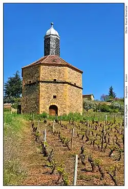 Weinberg um das Chateau de Bagnols