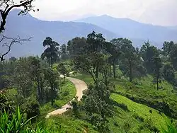 Provinzstraße Nr. 1099 Richtung Mae Thun Noi