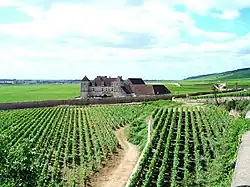 Clos de Vougeot