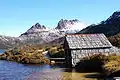Dove Lake im Park