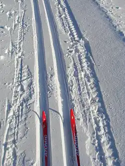 Langlauf in der Loipe