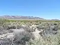 Die Desert National Wildlife Refuge