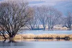 Nationalpark Unteres Odertal (Brandenburg)