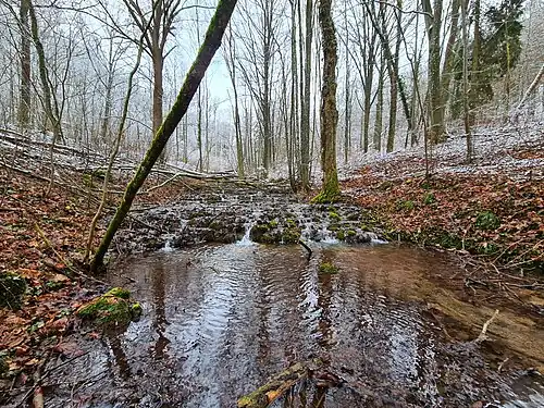 Ellerbachschlucht