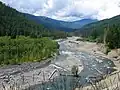 Am Elwha River