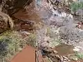 Auf dem Ermerald Pools Trail / Zion Canyon Shuttle Route
