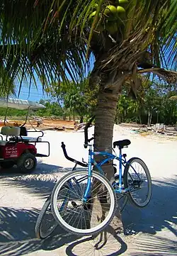 Karibischer Fahrradständer in Belize