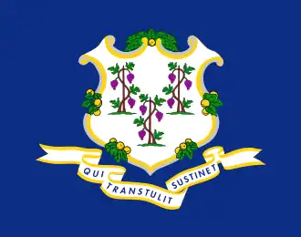 Flagge Connecticut
