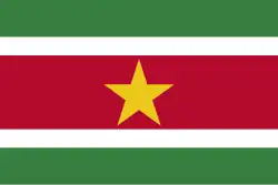 Flagge von Suriname