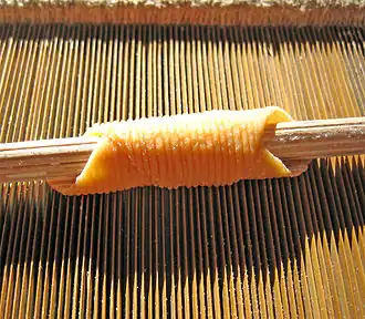 Garganelli