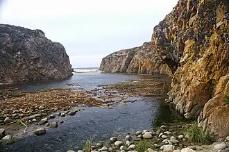 Garrapata State Park