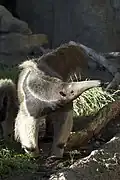 Santa Barbara Zoo