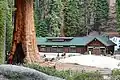 Das Giant Forest Museum