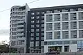 Golden Tulip