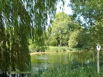 Teich nördlich von Goseck