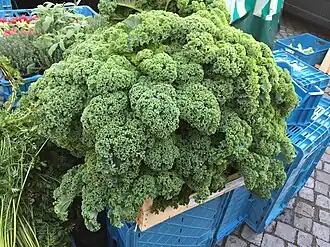 Grünkohl frisch vom Markt