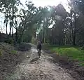 Der Grand Ridge Rail Trail