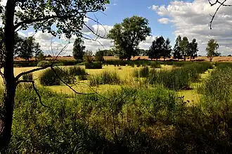 Der "Kleine See" bei Großrettbach