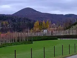 Hausberg Grodzisko