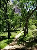 Auf dem Grotto trail / Zion Canyon Shuttle Route