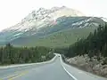 Die Kulisse am Icefields Parkway / Alberta