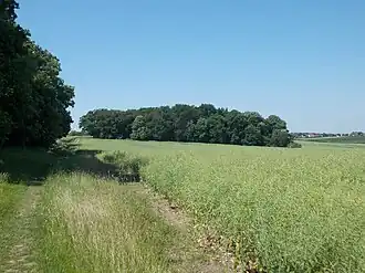 Igelsberg zwischen Lobitzsch und Goseck