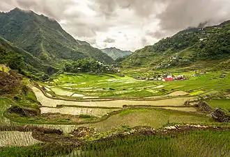 Reisterrassen von Banaue
