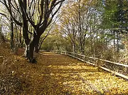 Herbststimmung am Insulaner
