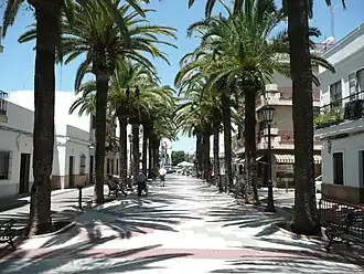 In der Fußgängerzone "Paseo de las palmeras"