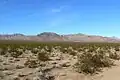 Die Ivanpah Mountains