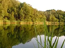 Stadtsee